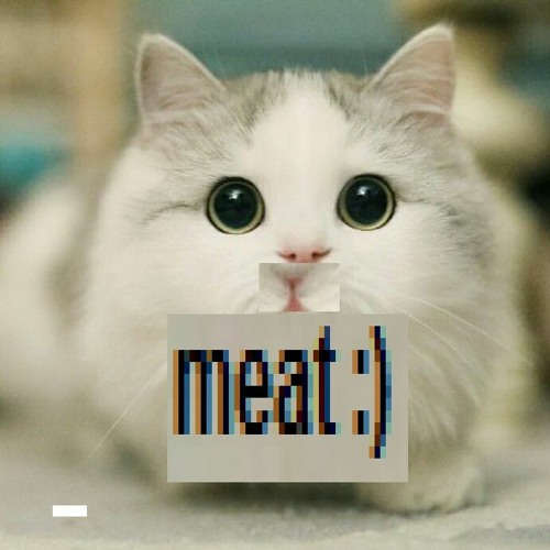 cat meat’s avatar