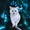 eyedelics cat