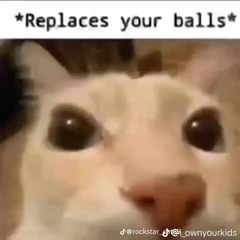 commonL_france