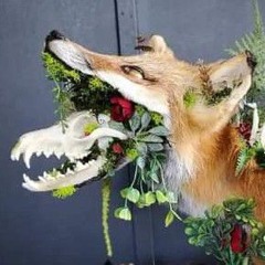 ‧͙⁺˚*･༓☾ Dist0rted ☽༓･*˚⁺‧͙