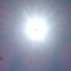 Chase/Mutual/Friend/Catch-22