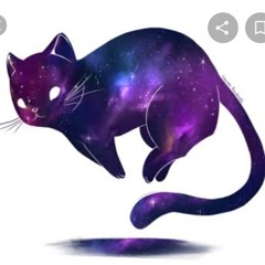 GalaxyCatto21