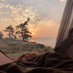 traceysaltspring