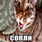 Гон Ташкент
