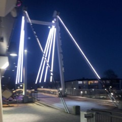 🌉