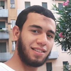 محمد ابراهيم الدسوقي