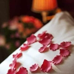 {نيلوفر (إيفوريا) }