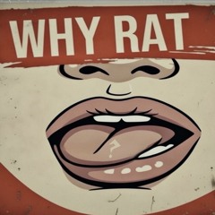 Why Rat