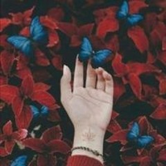 Sohaila ALramady