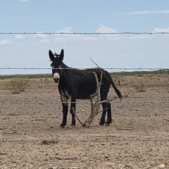 🌼my lovely ass :)