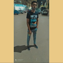 Abdelrahman S. El-Rifa'i