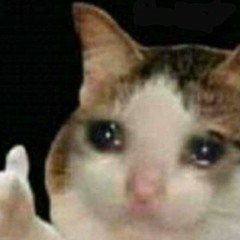 squeeba