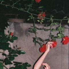 달빛쏘리