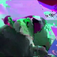 thrashmcboo