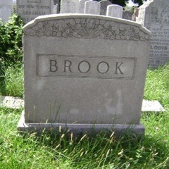 Dan Brook