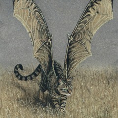 José Perez(ISOLUM)