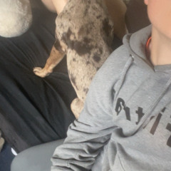Chase