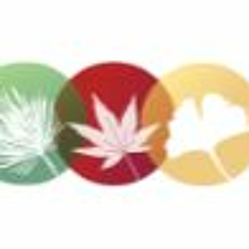 Stream Conifer Kingdom music Listen to songs, albums, playlists for