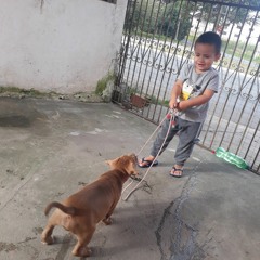 Vinicius