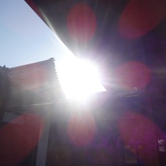 nofuture