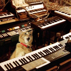 Music & Sound @ University of Staffordshire