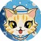𝑺𝑼𝑷𝑬𝑹𝑪𝑨𝑻𝟔𝟒 ビンクス猫 😺