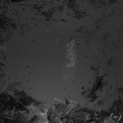 c̷̛̛̽̈́̎̽͛̔̆́̽̉̂̏͆͗̆̏͐̓͠͝ee4