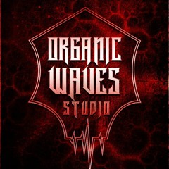 Organic Waves Studio