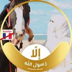 Samar Elshahed