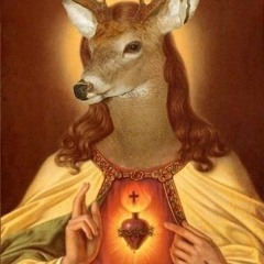 Rehsus