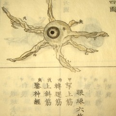 tongsuōforever