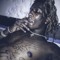blatt