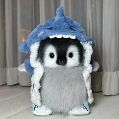 penguinissocute
