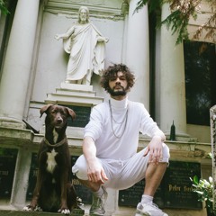 Nasty King Kurl