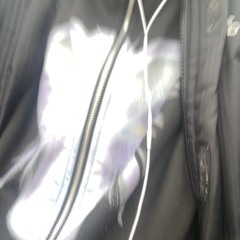 поллитровая мышь