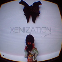 XENIZATION