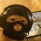 phloyd