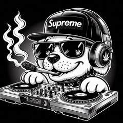 Dogga