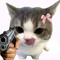 ~°catmeow°~