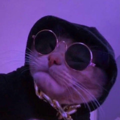 Robertowek