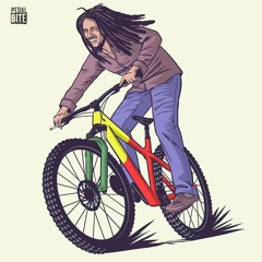 Tony Coto