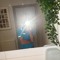 Ncl_brody