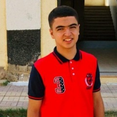 Mahmoud Elngar