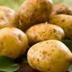 Potato_