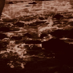 Jns bck