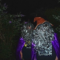 SKITWIZARDZ