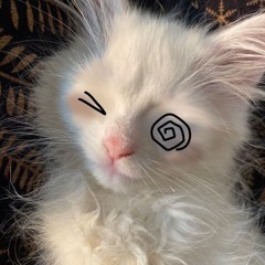 Catz