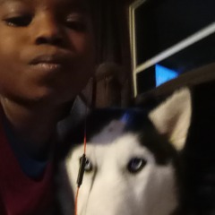 lil larry & ishowspeed big fan