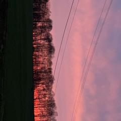 loves sunsets