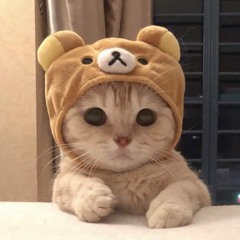 Linh Vũ